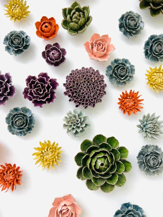 a bunch of succulents that are sitting on a surface