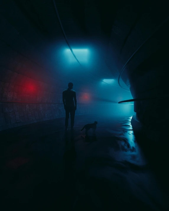 a person standing in the fog with their dog