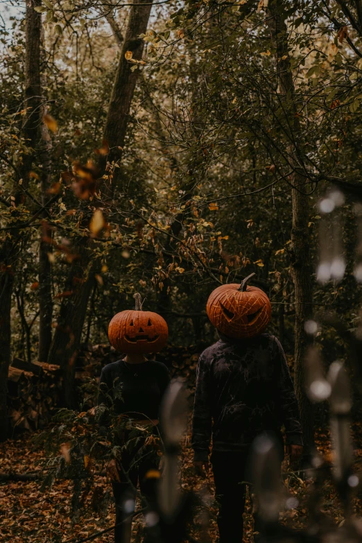 two people in the woods with pumpkin heads on