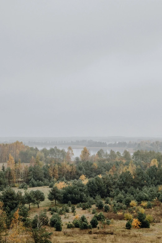 a landscape view showing an area with trees and the sky, some with low clouds