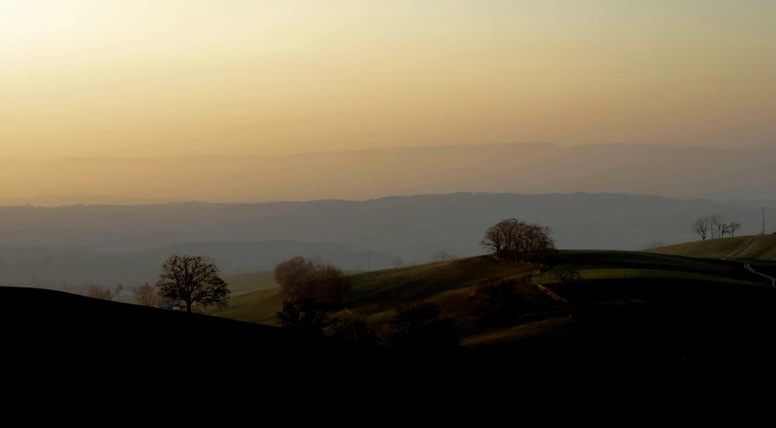 the silhouette of a bird flying across a field