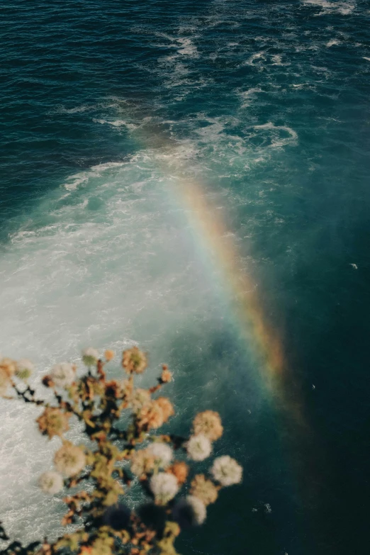 a rainbow appears over a large wave in the ocean