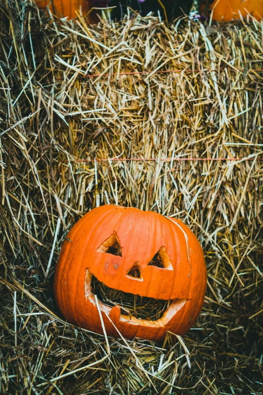 a pumpkin with its face carved into the straw