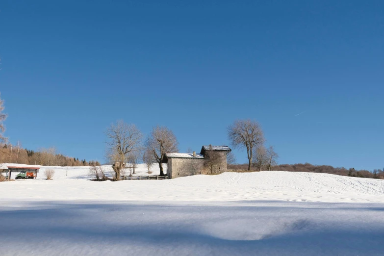 a barn and trees covered in snow next to a forest