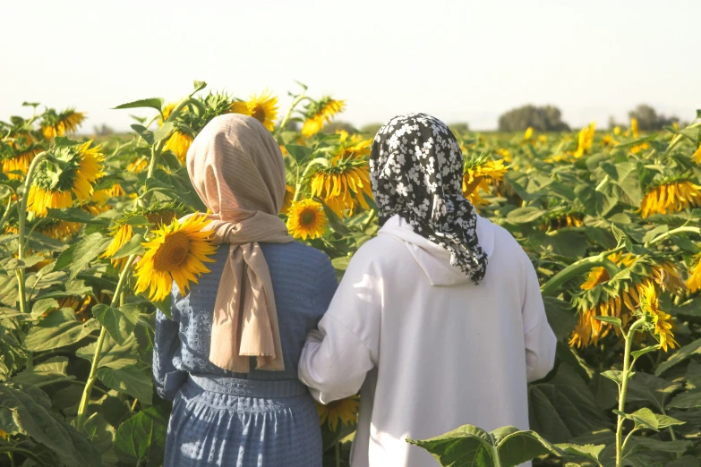 a couple standing in front of a field full of sunflowers