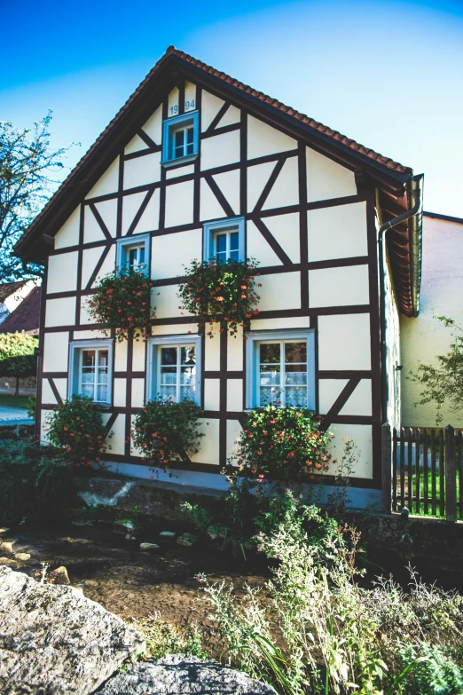 a very old european house with potted plants