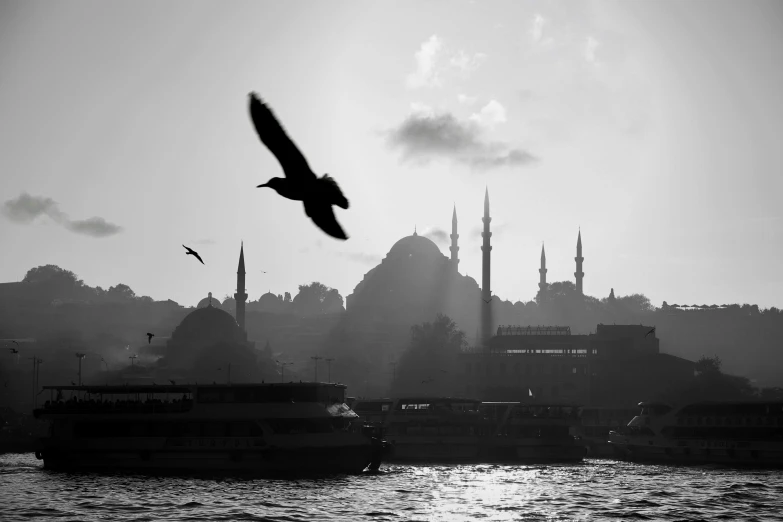 a bird flying over the water with a city in the background