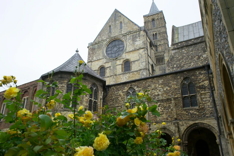 this is a large building with many different windows