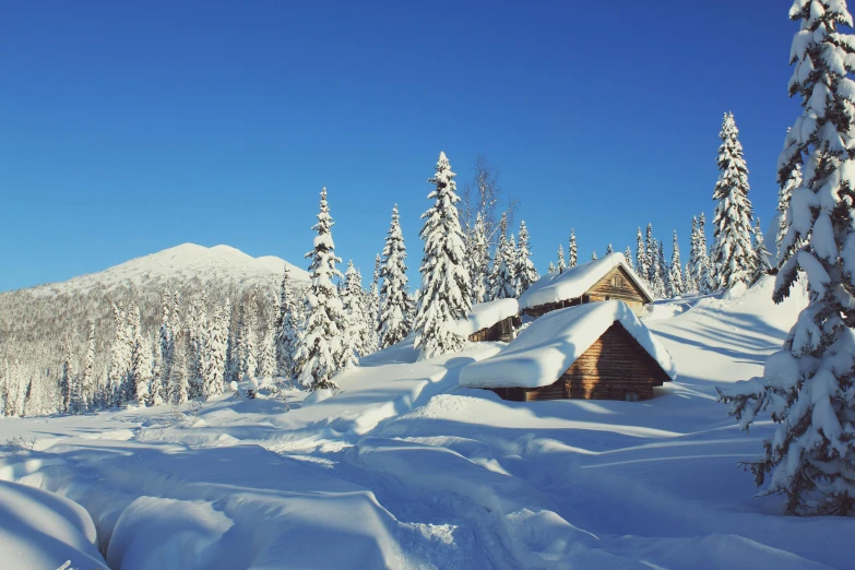 the cabin at a resort is covered in snow