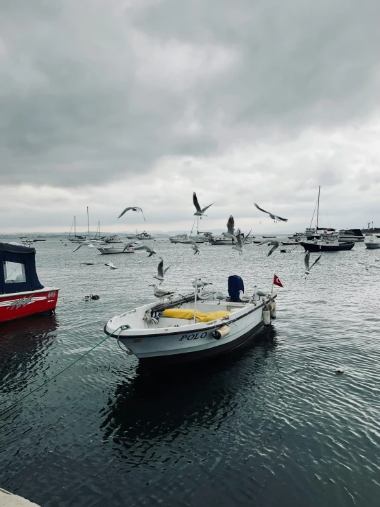 a small boat in the middle of a calm bay