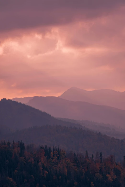 a mountain side with several trees under a pink sky