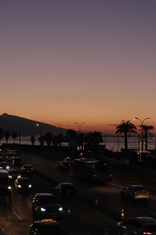 a night time po of the traffic of highway with palm trees