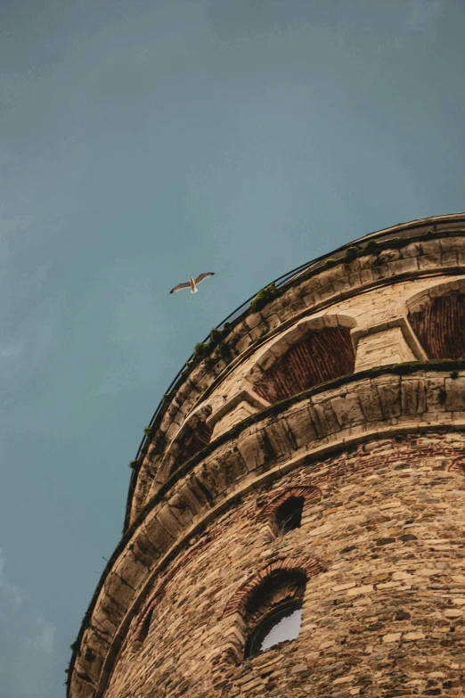 an old tower has a bird flying next to it