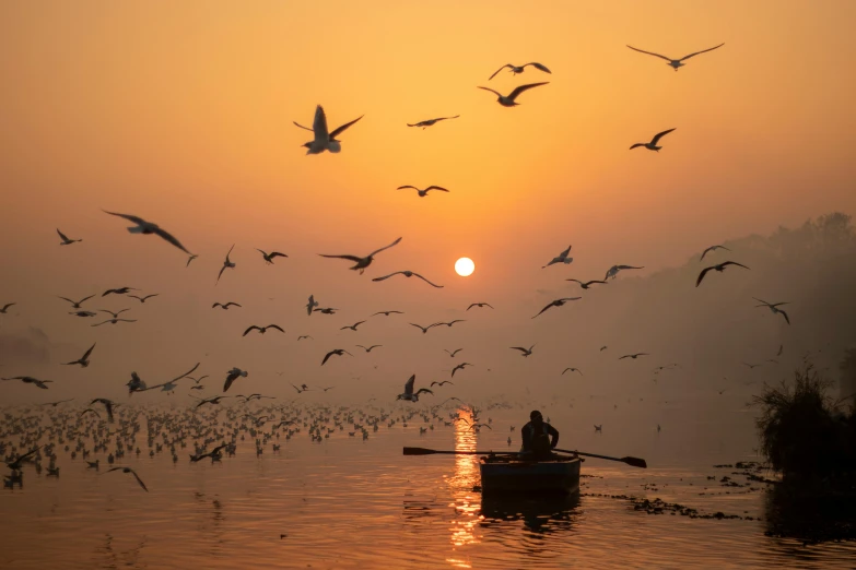 people in a rowboat floating on a body of water near the sun