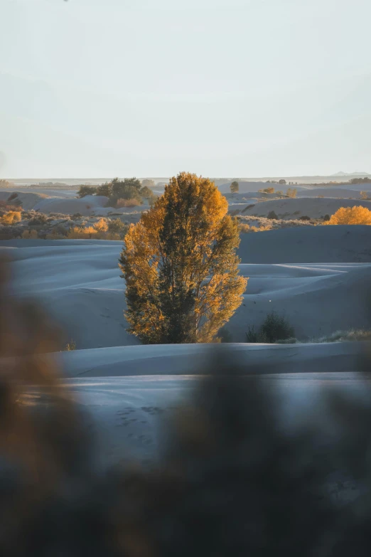 the picture is looking out into a field