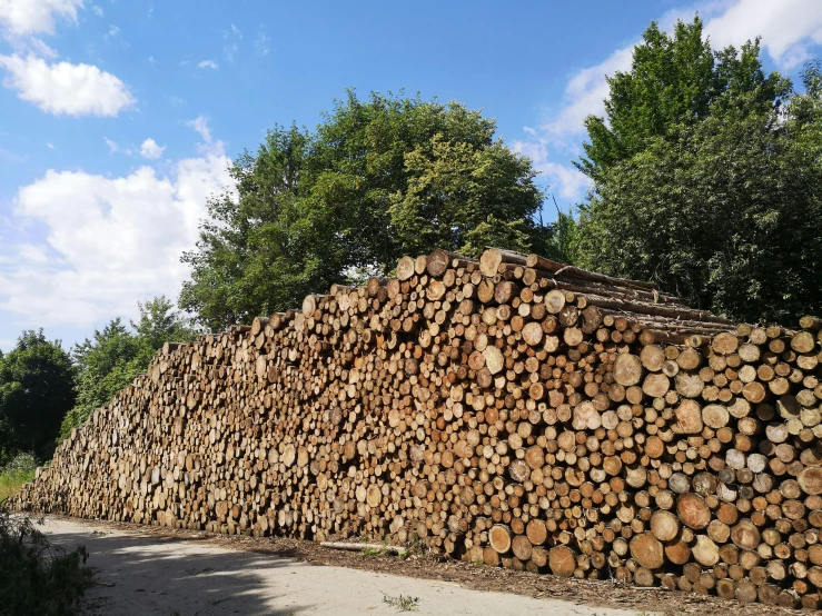 a tree - lined fence that is partially stacked together