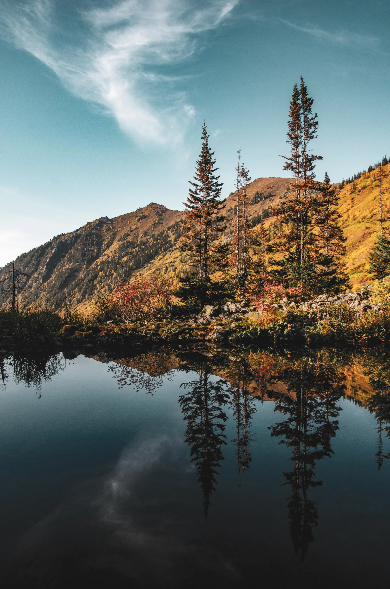 the view of an area where trees, a lake and mountains are visible