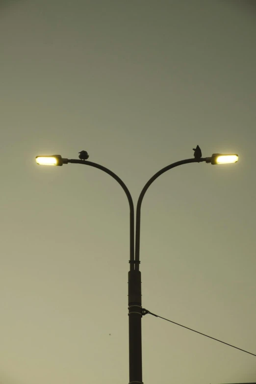 the street lights shine brightly at the twilight