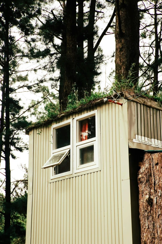 a little house that is built into a tree