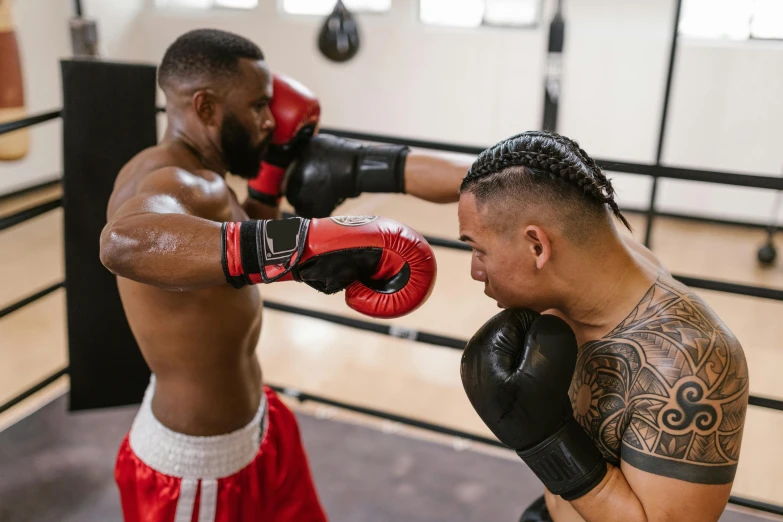 two men fighting inside a gym with gloves