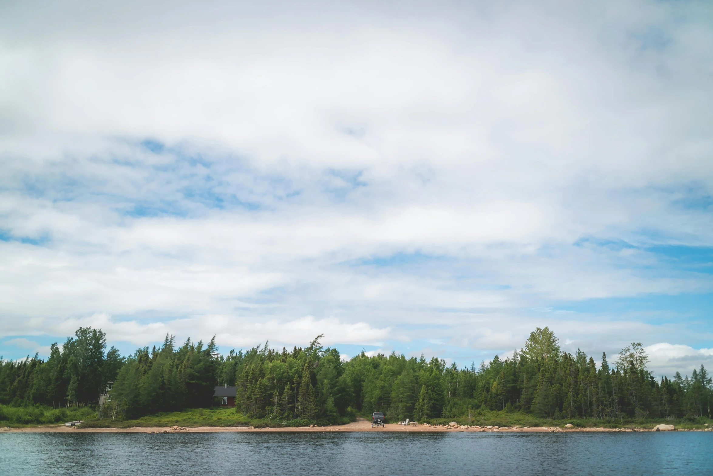 some very tall trees next to a lake