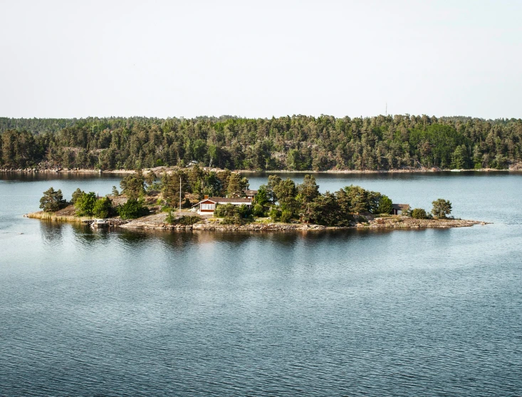 small island surrounded by water near forest