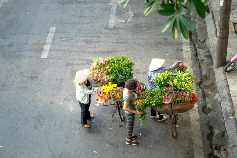 two people hing a cart with potted flowers down a city street