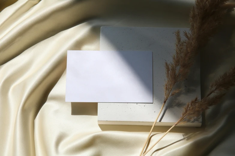 a white square next to a single brown feather on a white blanket