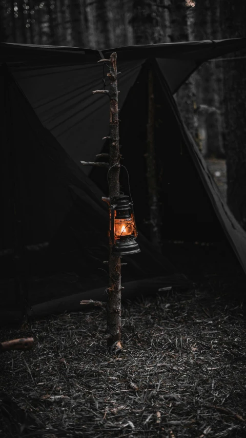 an up close image of a lantern lit on a tree stump in the dark