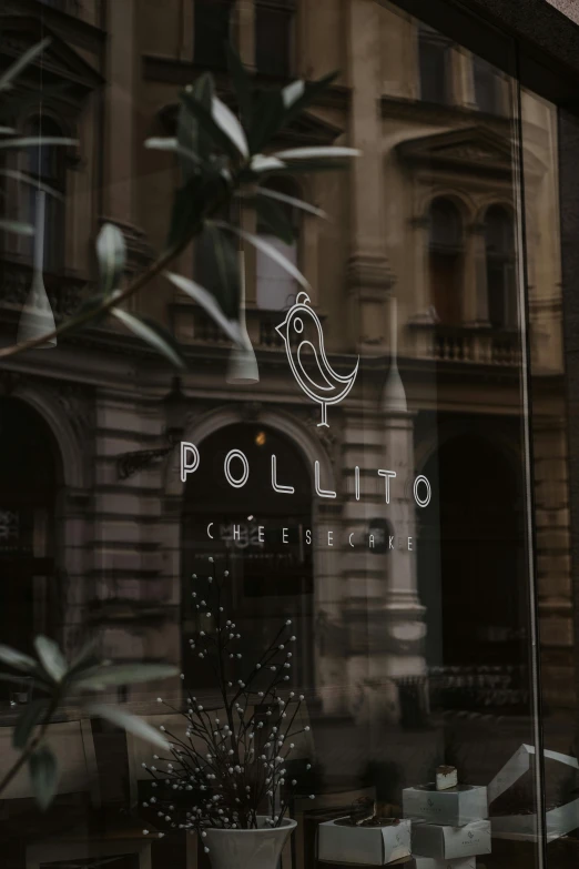 a store front window with a potted plant in front