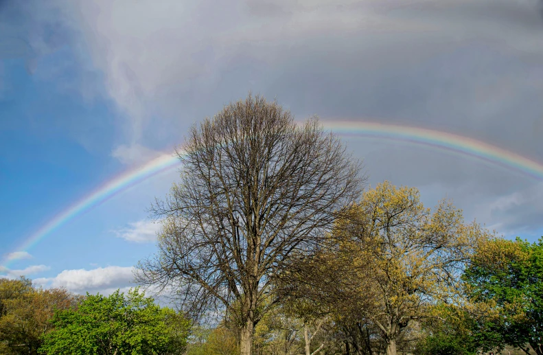 there is a rainbow in the sky over a field