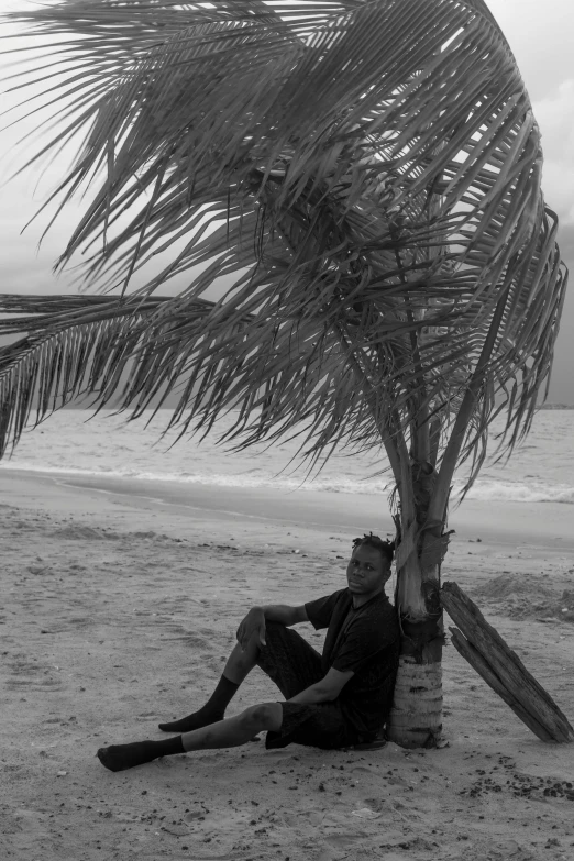 a man sits under a palm tree on the beach