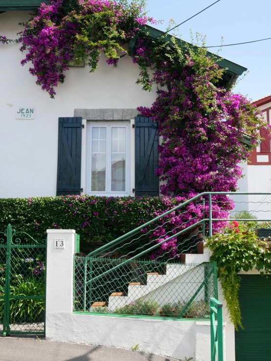 a house that has several flowers growing on it