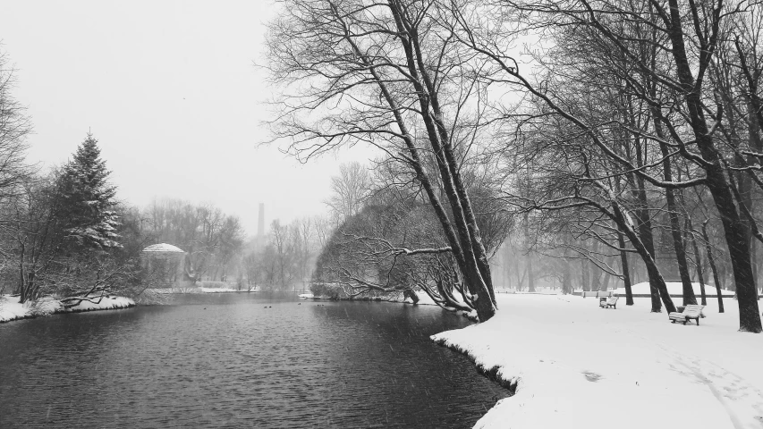 a small lake in the middle of some trees