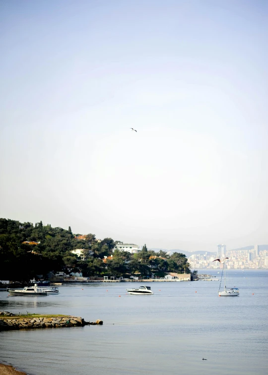 boats sit in the bay of an area that is very large