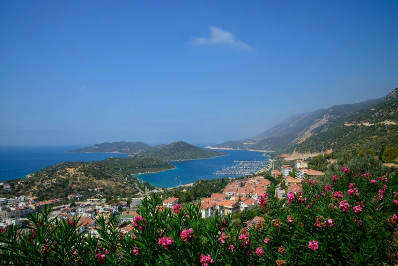 a view of a harbor next to a large body of water