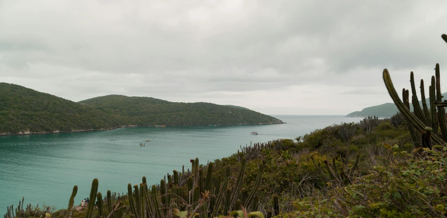 the view of an exotic tropical body of water