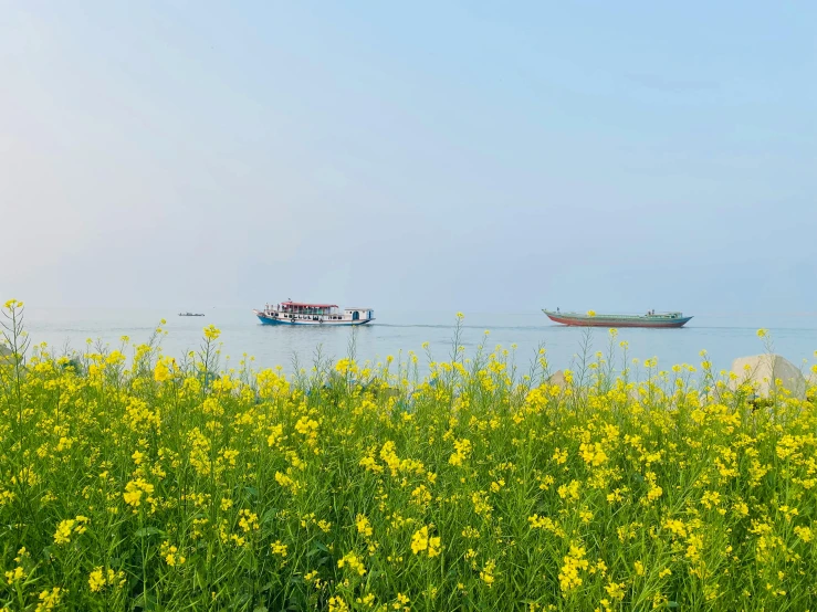 a couple of small boats floating on top of a river