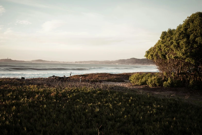 a view of a beach and trees with people in the distance