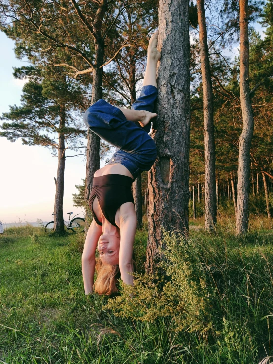 a person with  climbing up a tree