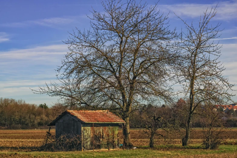 a wooden shack sitting next to a tree