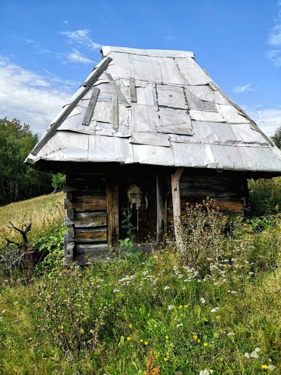 a dilapidated shack sitting in a field surrounded by grass and trees