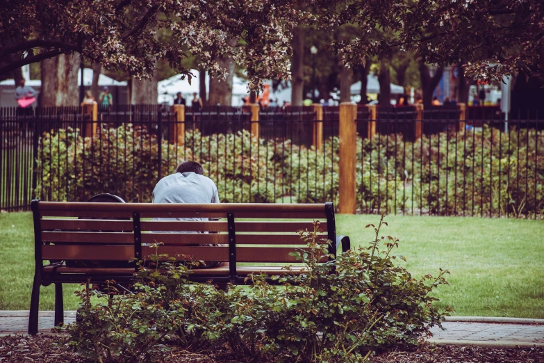 a man sits on a bench with his back turned to the camera