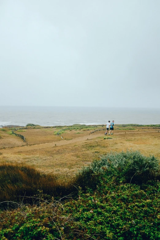 people standing in the field flying kites in the wind