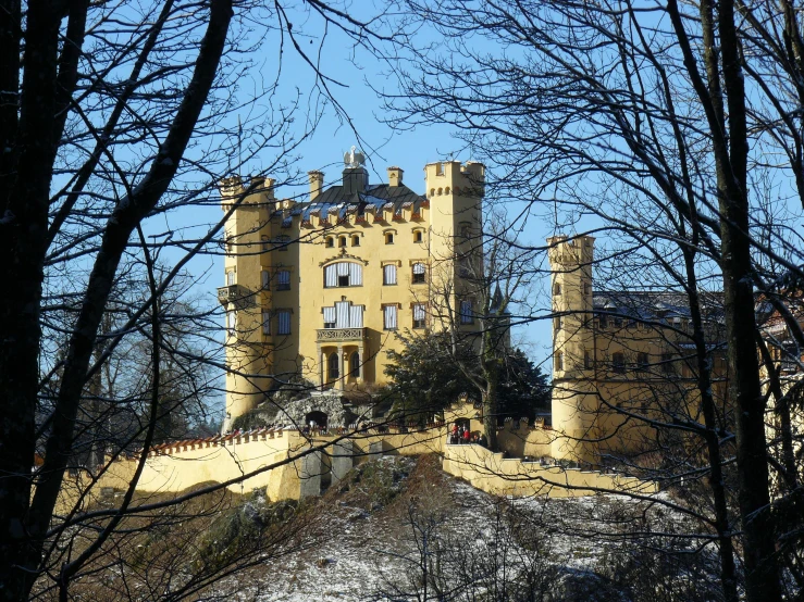 a castle surrounded by bare trees and snow