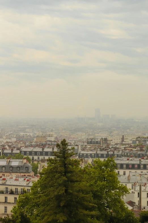 paris looking down on the city from atop a hill