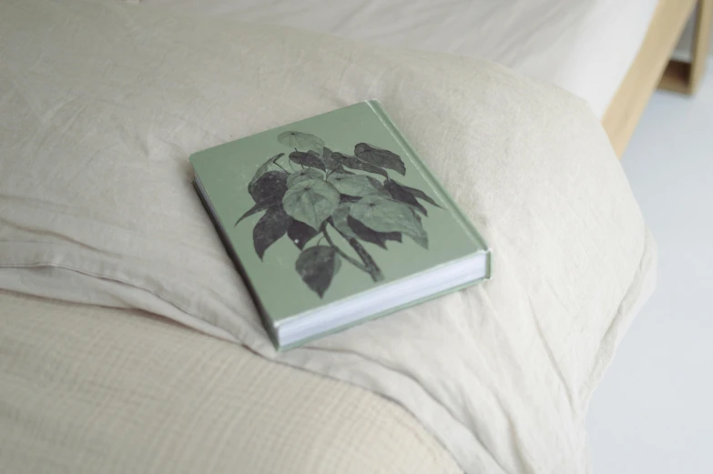 a book is sitting on top of the bed