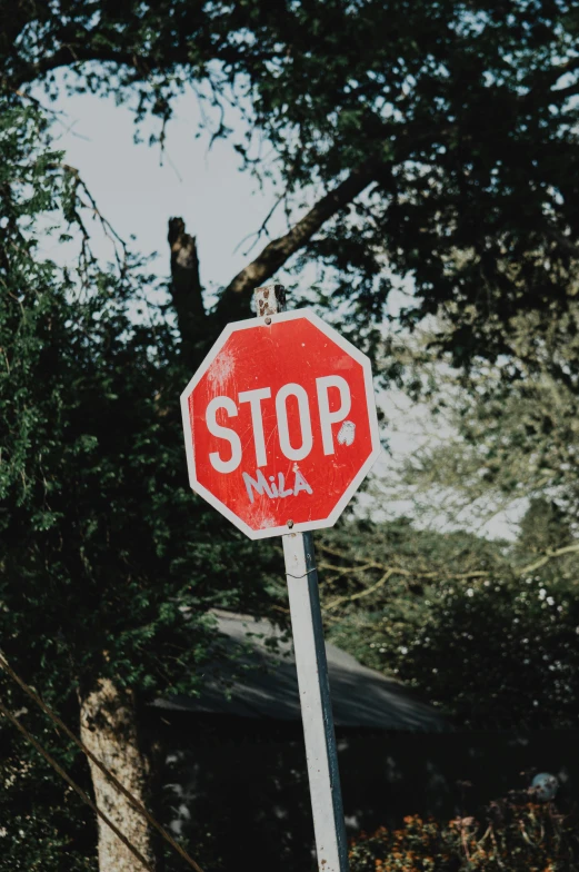 a red stop sign sitting above a forest next to a house