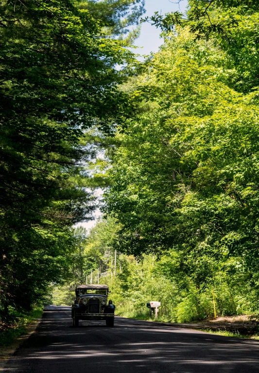 the car is parked on the road near many trees