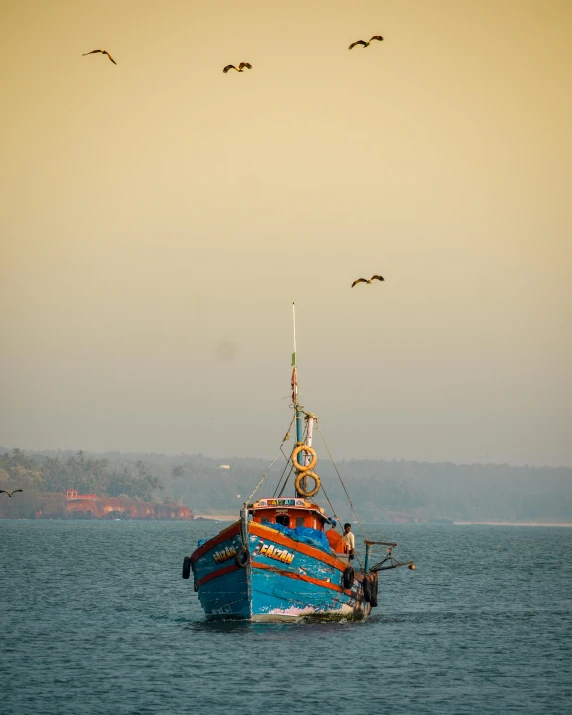 a boat in the water with birds flying above